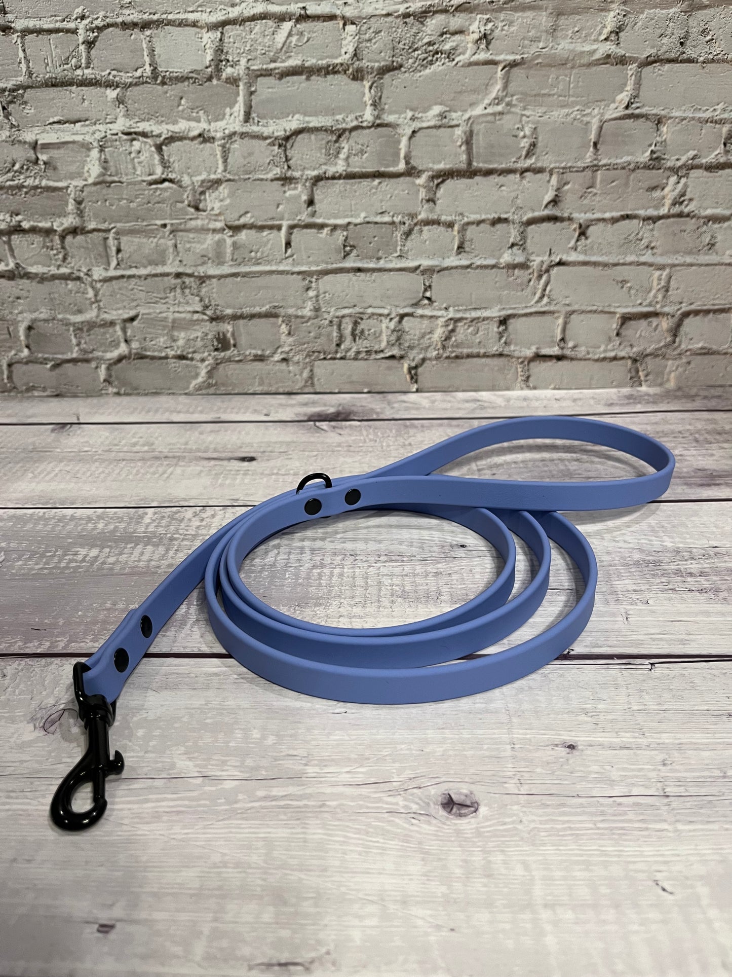 5/8" Classic Leash