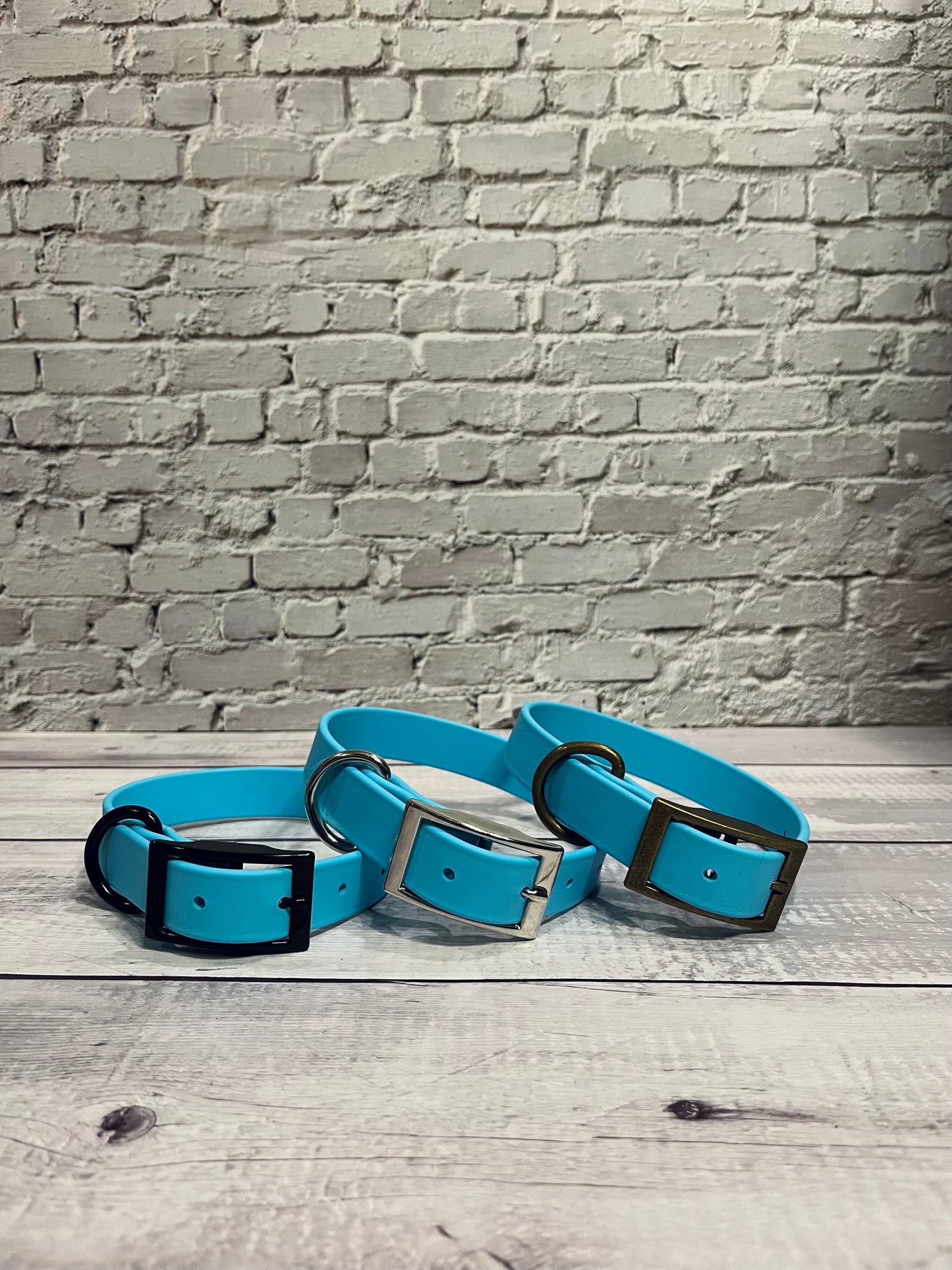 Baby Blue Classic Collar