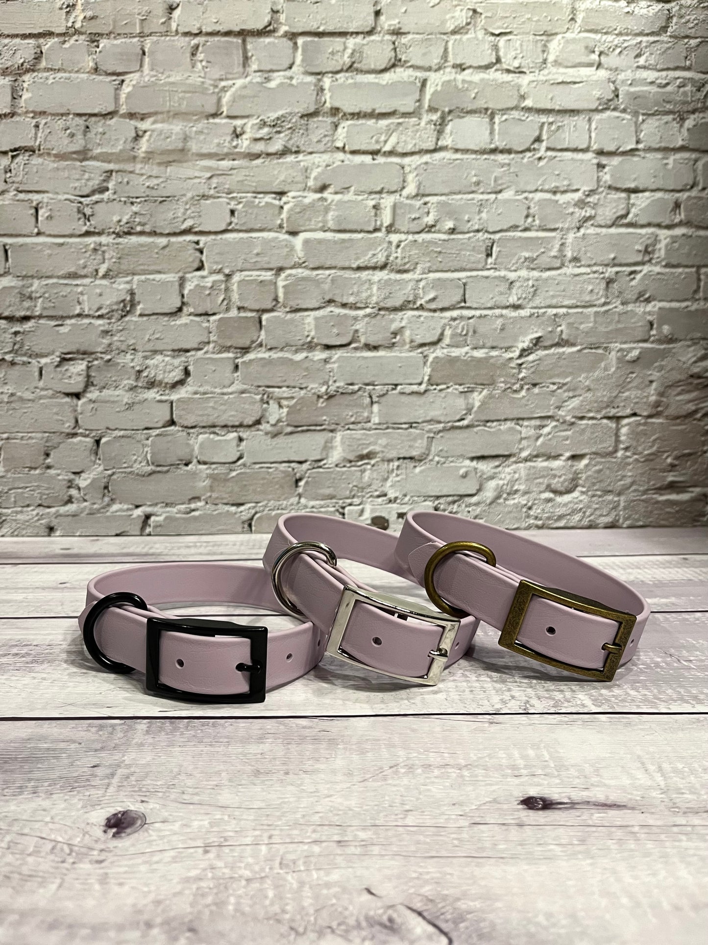 Lavender Classic Collar