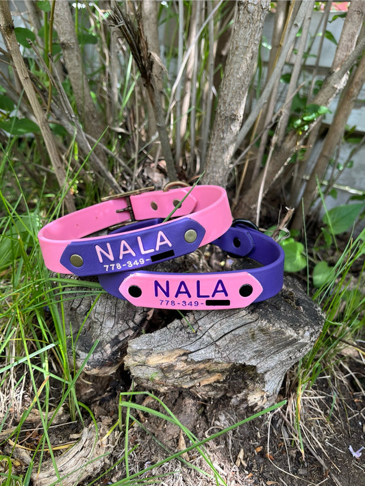 1" Nameplate