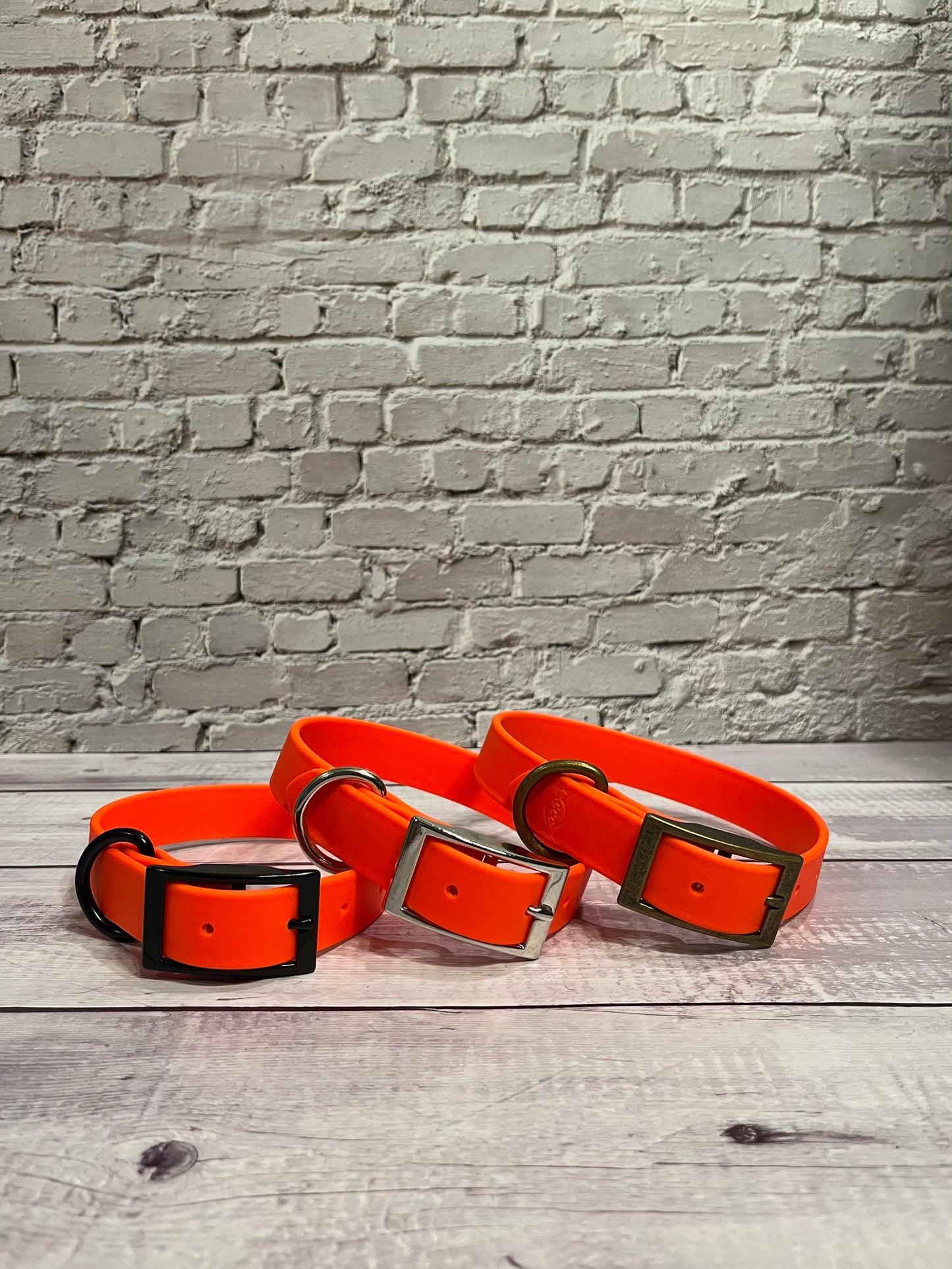 Neon Orange Classic Collar