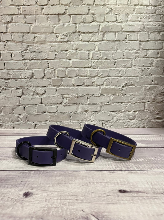 Purple Classic Collar