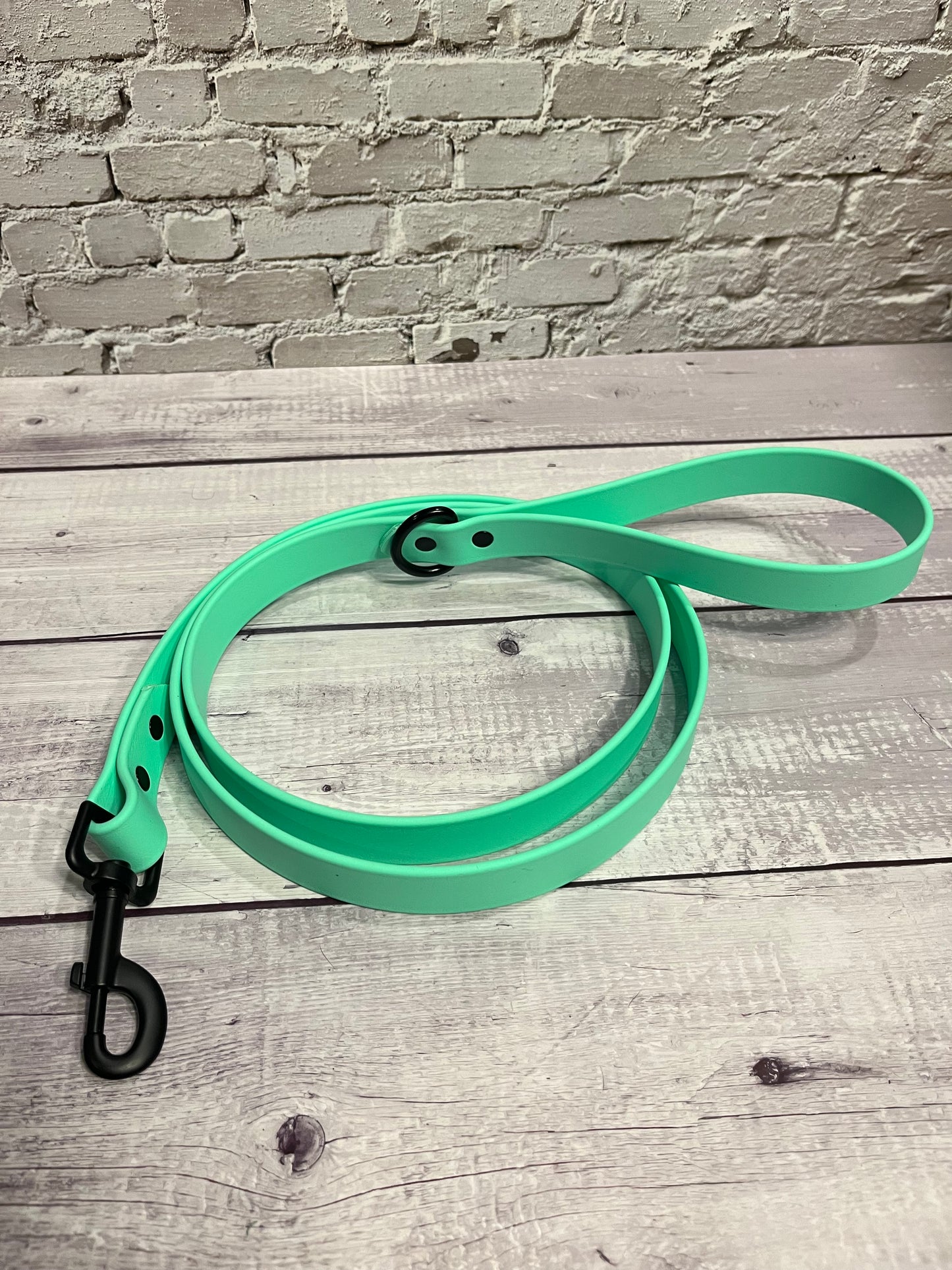 Seafoam Classic Leash