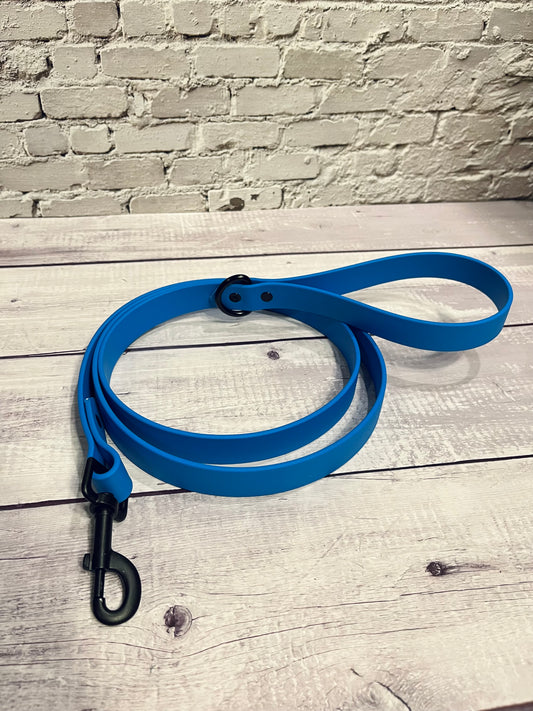 Sky Blue Classic Leash