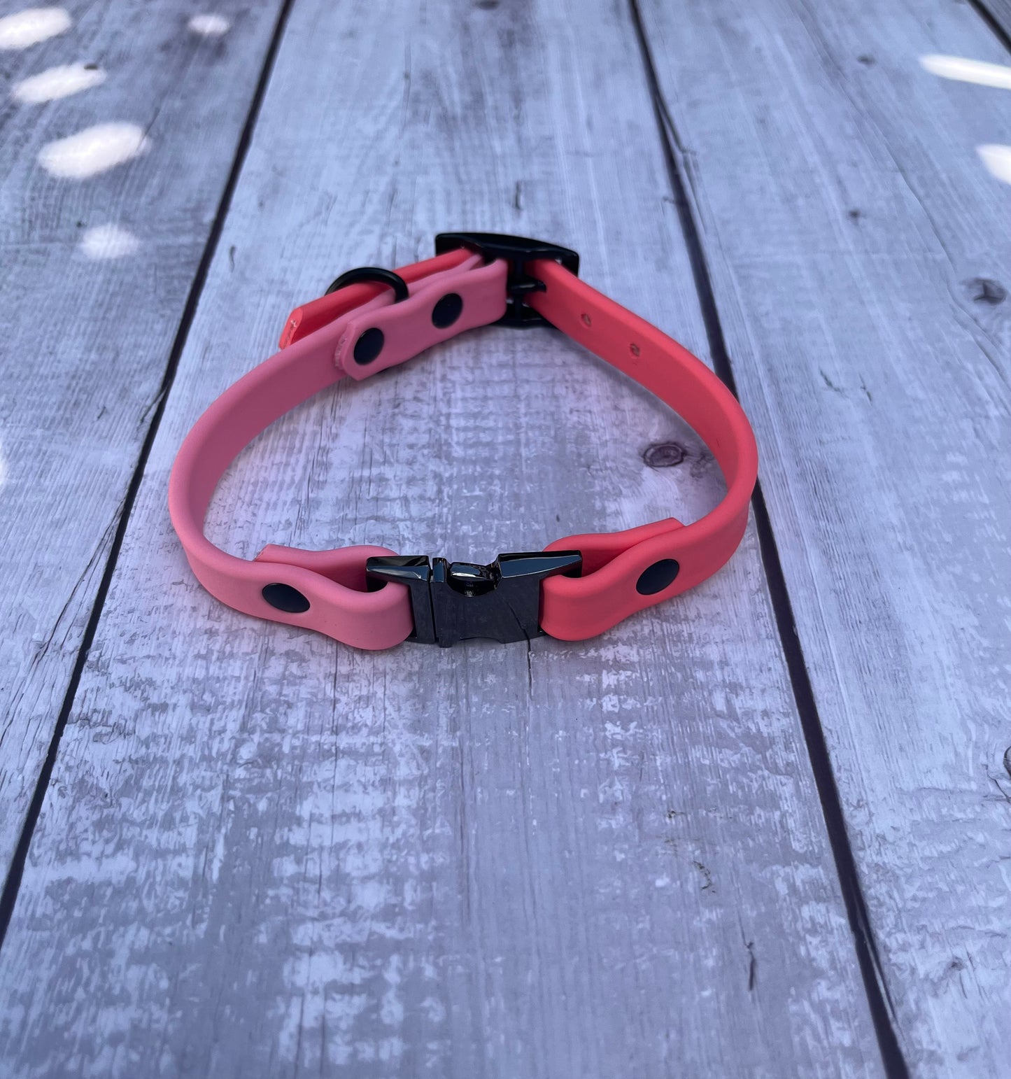 5/8" Quick Release Double Buckle Collar